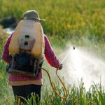 Pesticides : l'Anses désignée comme arbitre scientifique dans le cadre de la loi agricole