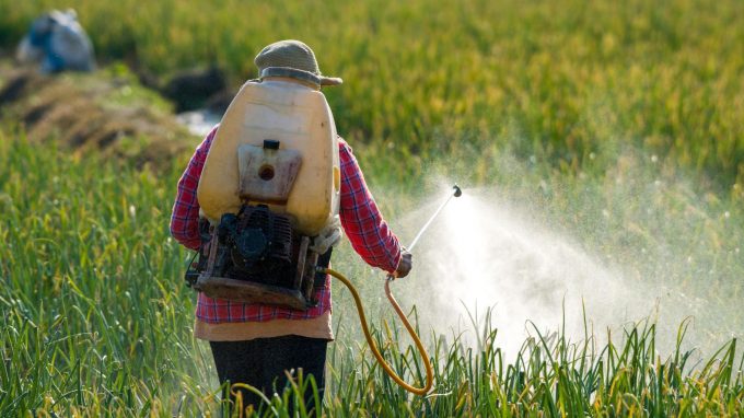 Pesticides : l'Anses désignée comme arbitre scientifique dans le cadre de la loi agricole