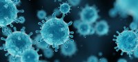 Virus Shamonda : premier décès humain enregistré en France dans le Rhône